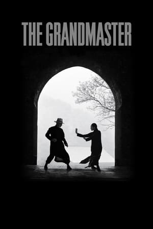 watch The Grandmaster