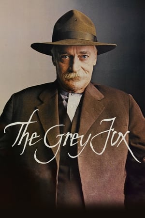 watch The Grey Fox