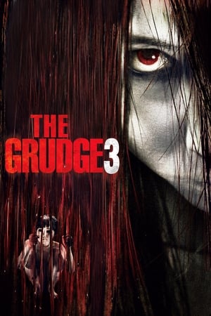 watch The Grudge 3