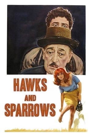 watch The Hawks and the Sparrows