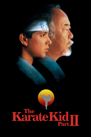 watch The Karate Kid Part II