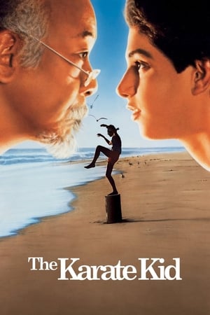 watch The Karate Kid