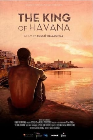 watch The King of Havana