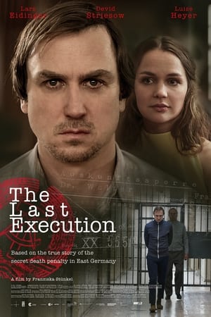 watch The Last Execution