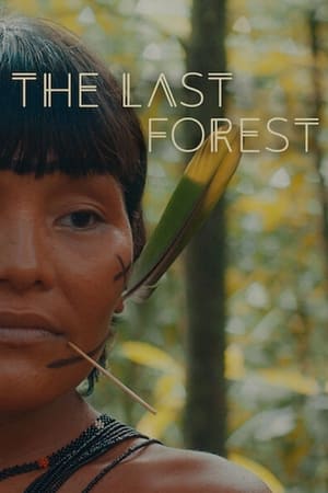 watch The Last Forest