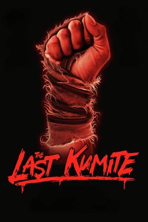 watch The Last Kumite