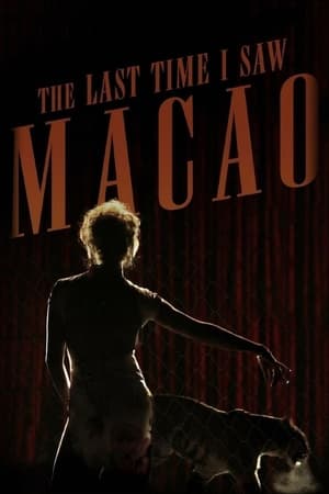 watch The Last Time I Saw Macao