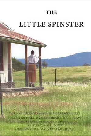 watch The Little Spinster