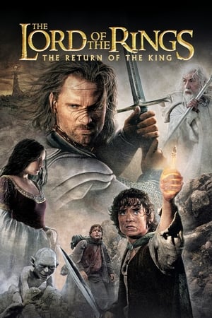 watch The Lord of the Rings: The Return of the King