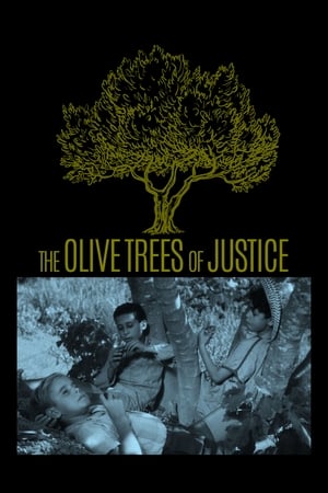 watch The Olive Trees of Justice