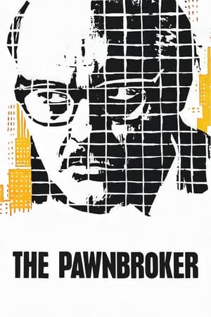 watch The Pawnbroker