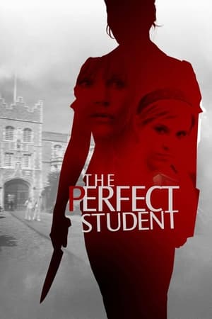 watch The Perfect Student