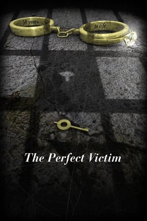 watch The Perfect Victim