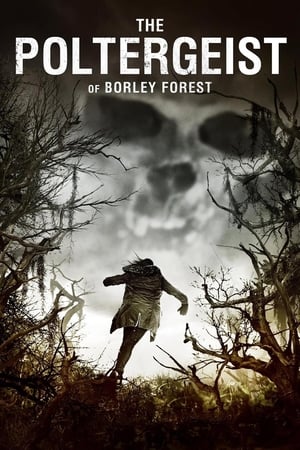 watch The Poltergeist of Borley Forest