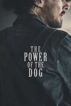 watch The Power of the Dog