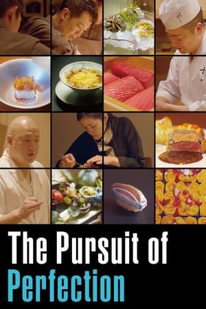 watch The Pursuit of Perfection