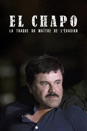 watch The Rise and Fall of El Chapo