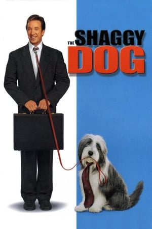 watch The Shaggy Dog