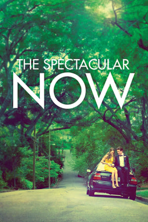 watch The Spectacular Now