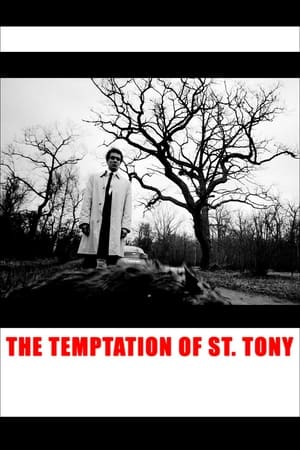 watch The Temptation of St. Tony