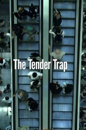 watch The Tender Trap