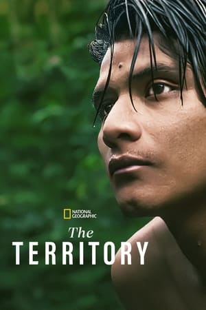 watch The Territory