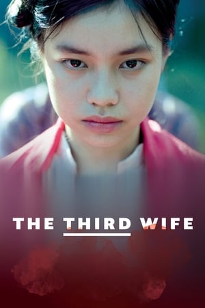 watch The Third Wife