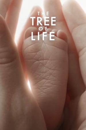 watch The Tree of Life