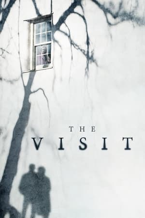 watch The Visit