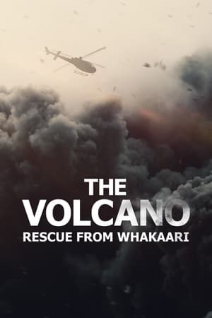 watch The Volcano: Rescue from Whakaari