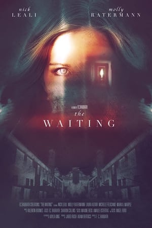 watch The Waiting