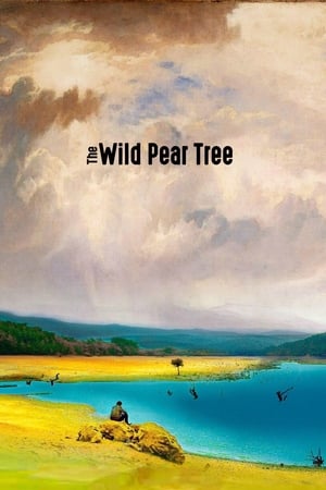 watch The Wild Pear Tree