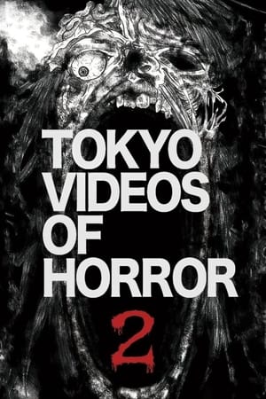 watch Tokyo Videos of Horror 2