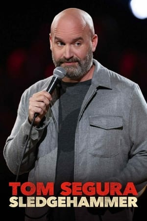 watch Tom Segura: Sledgehammer