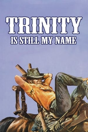 watch Trinity Is Still My Name