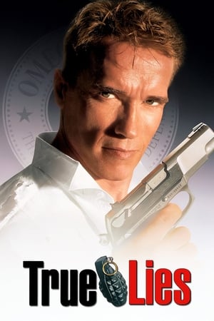 watch True Lies