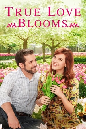 watch True Love Blooms