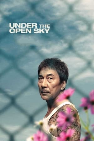 watch Under the Open Sky