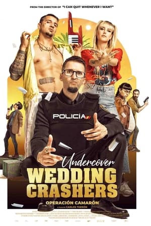 watch Undercover Wedding Crashers