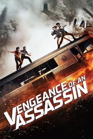 watch Vengeance of an Assassin