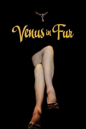 watch Venus in Fur