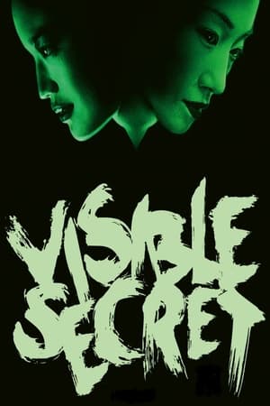 watch Visible Secret