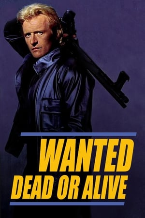 watch Wanted: Dead or Alive