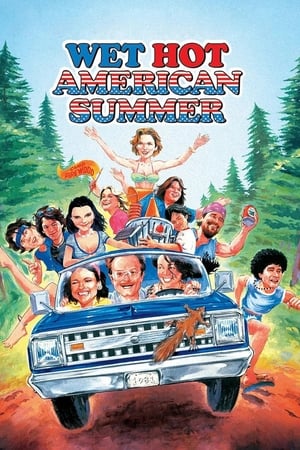 watch Wet Hot American Summer