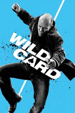 watch Wild Card