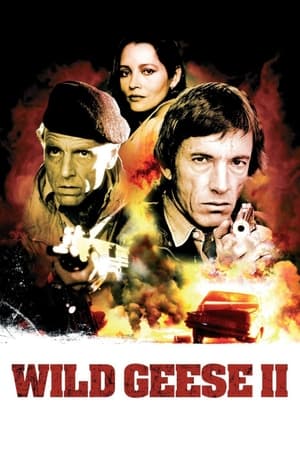 watch Wild Geese II