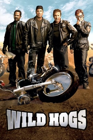 watch Wild Hogs