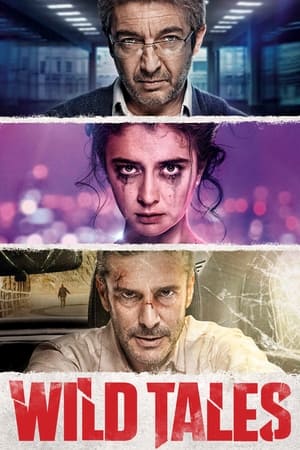 watch Wild Tales