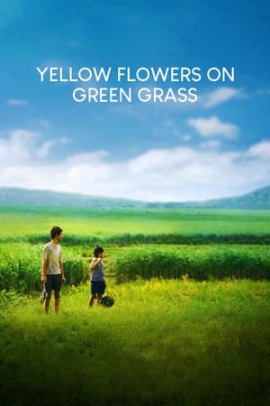 watch Yellow Flowers On the Green Grass