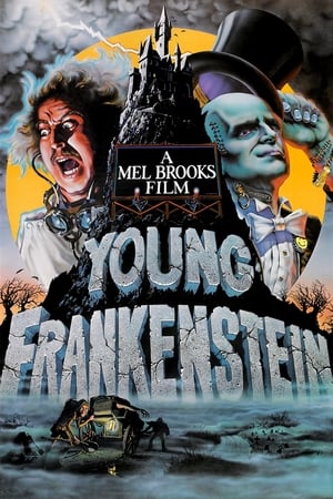 watch Young Frankenstein